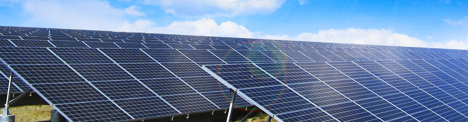 事業内容について